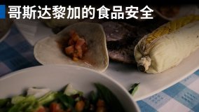 food safety costa rica