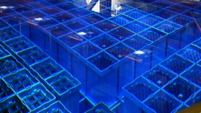 ???? ????:  10 ????? ?? ???? ???????(?????? ??????????)