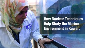 How Nuclear Techniques Help Study the Marine Environment in Kuwait