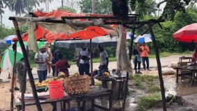 Double the Yield, Double the Harvest: Zanzibar Improves Rice Production Using Nuclear Techniques