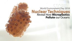 2018年世界海洋日：核技術揭示微塑料如何污染我們的海洋 （英文）