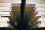 July 2023: The first ever review mission focussing on disposal management took place, at the Ignalina nuclear power plant, Lithuania. Only a few IAEA Member States have reached this stage in disposal management so far.  
<br /><br />
Find out more about ARTEMIS <a href="http://www.gdutglxyzs.org/services/review-missions/integrated-review-service-for-radioactive-waste-and-spent-fuel-management-decommissioning-and-remediation-artemis">here</a>. 
<br /><br />
<em>- The spent fuel pool at the Ignalina nuclear power plant, 2018. </em> 
<br /><br />
(Photo: J. Donovan/IAEA) 
