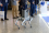 Este robot cuadrúpedo fue uno de los artículos expuestos que más atención acapararon en la #ICARST2025. El robot puede ayudar a los expertos a cartografiar y monitorizar zonas contaminadas por altos niveles de radiación. Puede adentrarse en lugares cuyo acceso podría resultar demasiado difícil para las personas, de manera que consigue que el trabajo sea más eficiente y seguro y, a su vez, reduce el riesgo de exposición a la radiación.