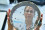 <strong>Do you know how nuclear science supports food security? </strong>
<br /><br />
The work of the IAEA’s Insect Pest Control Laboratory in Seibersdorf,  is crucial for protecting agriculture from invasive pests, by promoting the pesticide-free Sterile Insect Technique (SIT) as a solution. During a Mediterranean fruit fly outbreak in Mexico in 2021, the laboratory's expertise helped authorities to produce and release over 1.2 billion sterilized flies, protecting crops worth billions of dollars. This sustainable approach demonstrates how SIT can effectively address pest challenges, a key component of Atoms4Food, while reducing reliance on chemical treatments. Read more <a href="http://www.gdutglxyzs.org/newscenter/pressreleases/nuclear-technique-helps-mexico-eradicate-an-invasive-insect-pest-outbreak-threatening-farmers-livelihoods">here</a>.
<br /><br />
A scientist working at the Insect Pest Control Laboratory, Department of Nuclear Science and Application at IAEA Seibersdorf, Austria (Photo: IAEA)