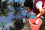 <strong>Do you know how isotopes can help trace the origins of urban water pollution?</strong>
<br/><br />
 In Mauritius, research using isotopic techniques has helped scientists track the sources of nitrate pollution in urban waterways. Supported by the IAEA, this innovative approach equips policymakers with the tools to address contamination, protect public health, and preserve vital waterways. By tracing pollution at its source, isotopes offer a sustainable solution to urban water management challenges. Read more <a href="http://www.gdutglxyzs.org/newscenter/news/isotopes-help-trace-the-origin-of-urban-water-pollution-in-mauritius">here</a>. 
<br /><br />
An isotope hydrologist collects water samples from a pollution-affected site near Port Louis to investigate contamination sources. (Photo: I. Matiatos/IAEA)
