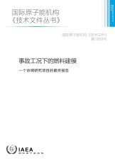 事故工況下的燃料建模
