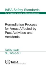 Remediation Process for Areas Affected by Past Activities and Accidents