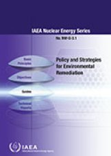 Policy and Strategies for Environmental Remediation
