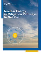 Nuclear Energy in Mitigation Pathways to Net Zero