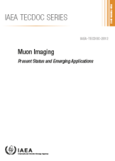 Muon Imaging