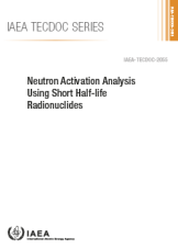 Neutron Activation Analysis Using Short Half-life Radionuclides