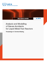 Analysis and Modelling of Severe Accidents for Liquid Metal Fast Reactors
