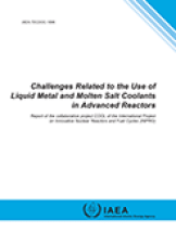 Challenges Related to the Use of Liquid Metal and Molten Salt Coolants in Advanced Reactors