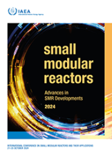 Small Modular Reactors: Advances in SMR Developments 2024