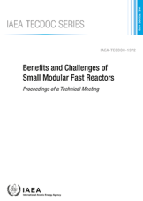 Benefits and Challenges of Small Modular Fast Reactors