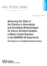 Advancing the State of the Practice in Uncertainty and Sensitivity Methodologies for Severe Accident Analysis in Water Cooled Reactors in the QUENCH-06 Experiment