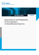 Approaches to and Preparation for the Operation of Small Modular Reactors