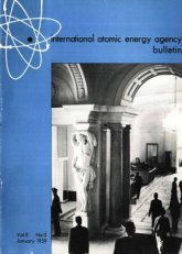 General Assembly discusses Progress Report from IAEA