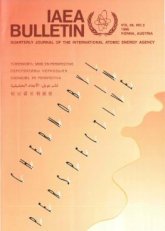 Chernobyl in Perspective