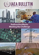 Radioactive Waste: Meeting the Challenge