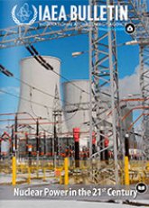 Nuclear Power in the 21st Century