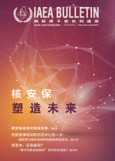 核安保：塑造未來