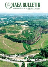 Decommissioning and Environmental Remediation