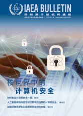 核世界中的計算機安全