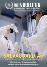 Salvaguardias