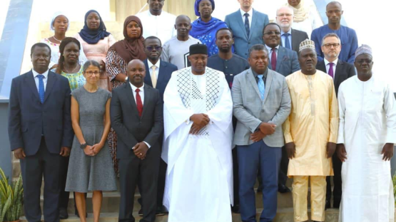 The international experts, accompanied by Minister of Health Ahmadou Samateh and the national focal team, met President Adama Barrow during a briefing session in State House, Banjul.