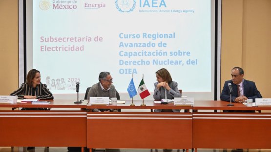 IAEA Hosts First Spanish-Language Advanced Training Course on Nuclear Law 