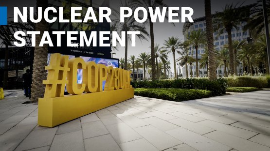 COP28: IAEA Statement on Nuclear Power Backed by Dozens of Countries