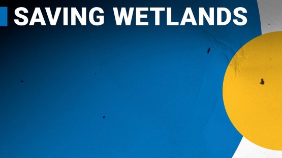 Halting Wetland Loss through Nuclear Techniques