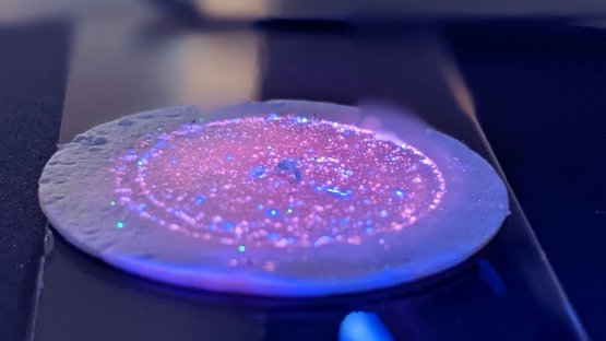 Analysis of marine microplastic extracted from sediment using vibrational spectroscopy. (Photo F. Oberhaensli/IAEA)