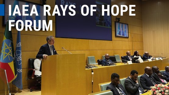 IAEA Holds Rays of Hope Forum To Increase Access to Cancer Care
