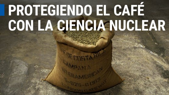 Cómo la ciencia nuclear desvela la historia del café