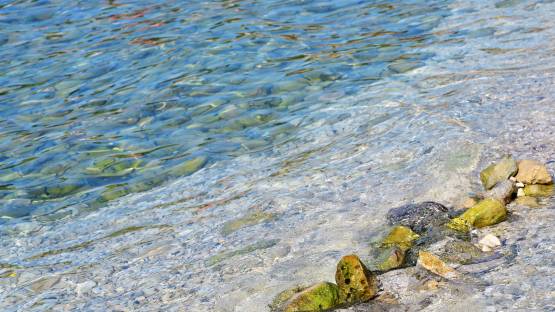 oceans and the carbon cycle