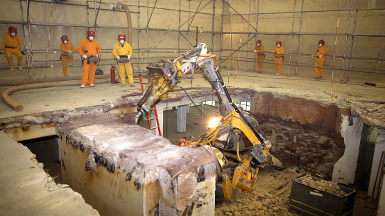 Decommissioning a research reactor