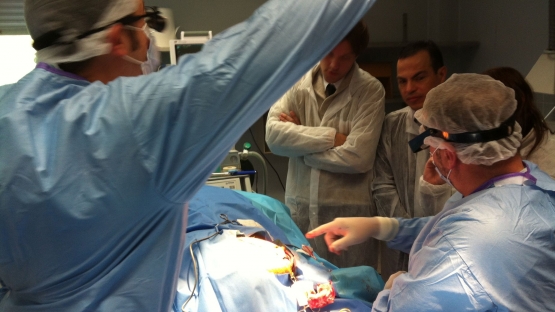 theatre surgery