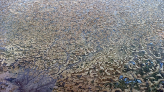 Due to its arid climate and high temperatures, conserving and preserving water resources is vital for Kuwait and its growing population. The use of isotopic techniques, with the support of the IAEA, helps local authorities plan sustainable water use.