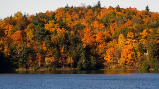 ALMERA Network - Providing Accurate Measurements for Monitoring Radioactivity in the Environment