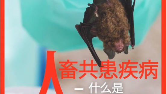 人畜共患疾病