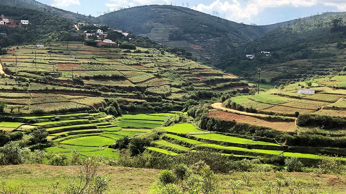 terraces-madagascar-1140x640.jpg