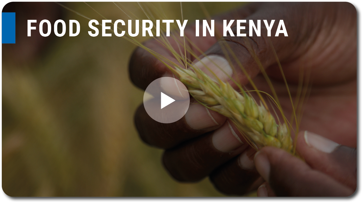 video_food_security_kenya.png