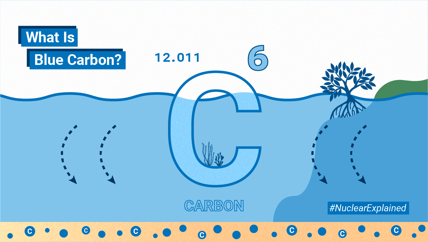 what-is-blue-carbon-1140x640.png
