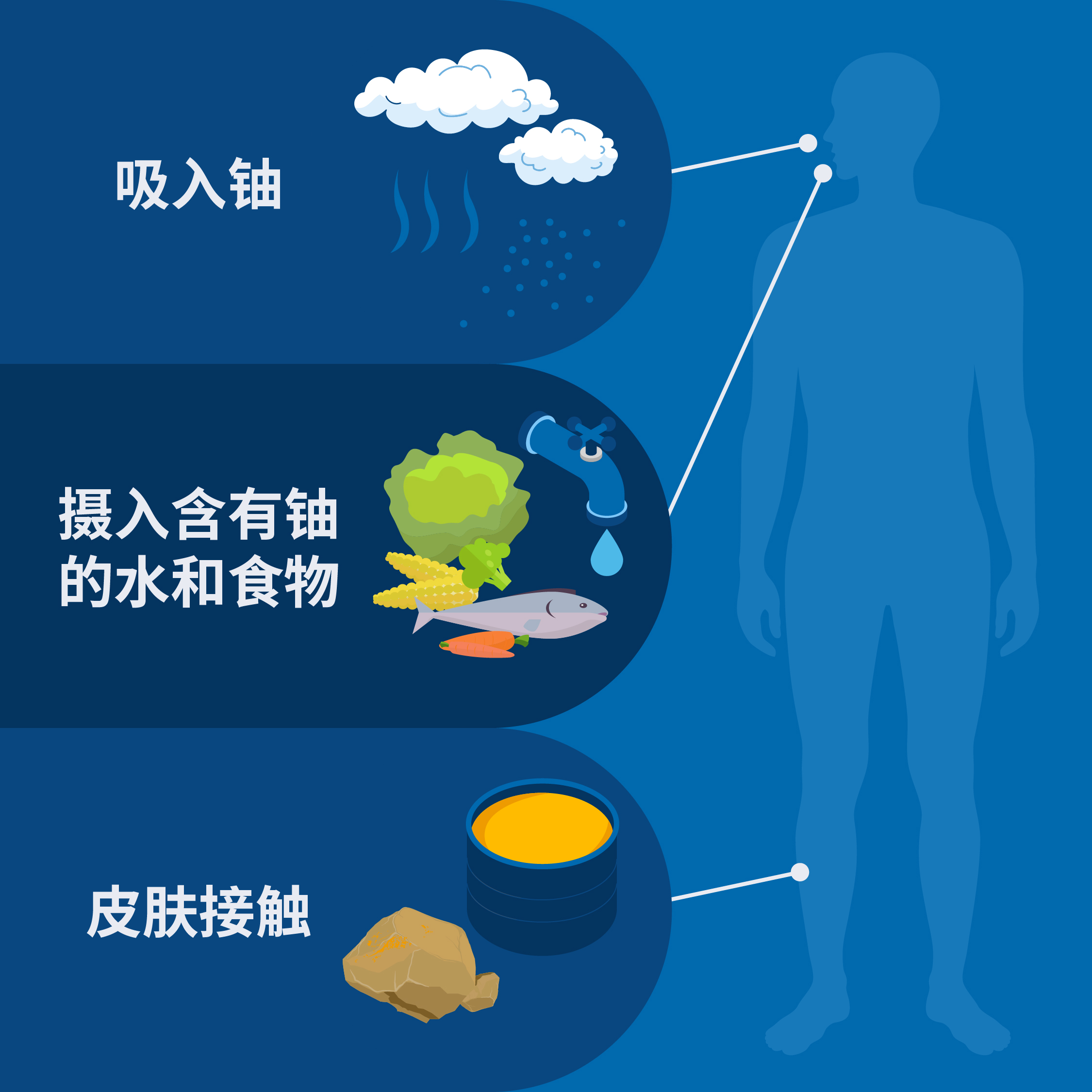 輻射是我們日常生活的一部分，因此我們無時無刻不在接觸輻射。每人每天都會攝入和吸入少量的天然鈾。（圖片來源：A. Vargas/原子能機構）