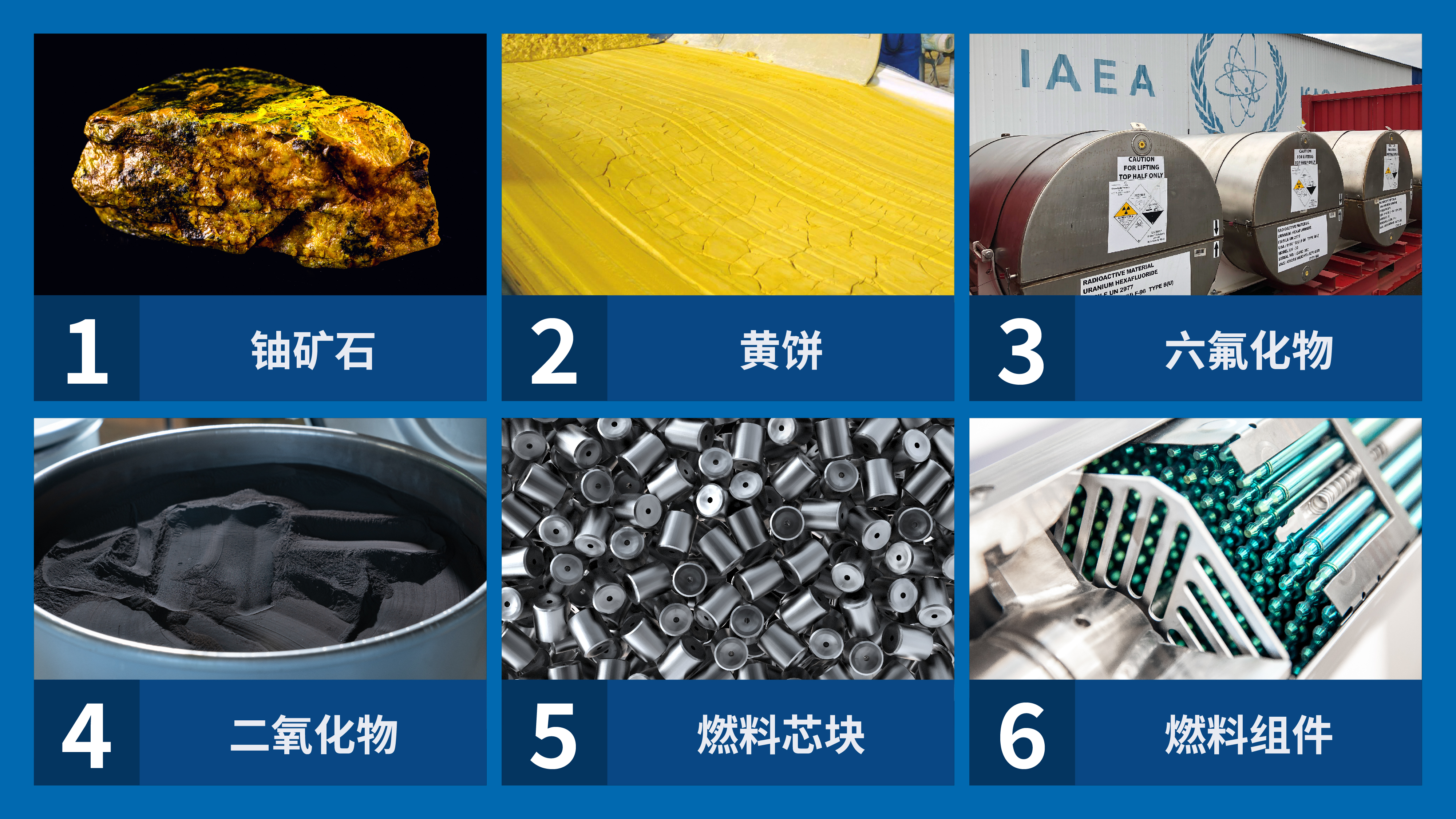 （圖片來源：Adriana Vargas/原子能機構）